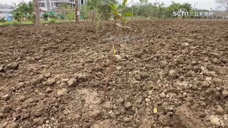全因這法案！地方走投無路　自毀良田頻傳