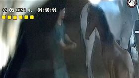 泰國,普吉島,母馬,懷孕,流產,性侵,少年https://www.facebook.com/WDT.foundation?locale=zh_TW