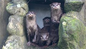 圖／動物園提供