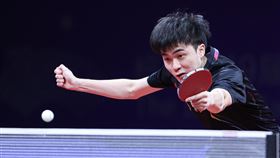 杭州亞運桌球男團4強賽  林昀儒敗給王楚欽杭州亞運桌球男團4強賽25日晚間登場，台灣桌球好手林昀儒（圖）在第2點力抗中國強敵王楚欽，終場以5比11、5比11、6比11敗陣。中央社記者鄭清元攝  112年9月25日