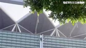 北市王男從南港展覽館頂樓外牆一路溜至地面。（圖／翻攝畫面）