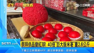 吃的紅球！巨大版米荖變紅荖花重2.6公斤