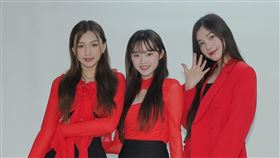 黑曜精靈（圖／記者楊澍攝影）