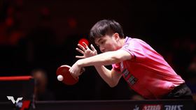 台灣桌球好手林昀儒。（資料圖／翻攝自WTT官網）	