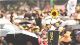 太陽花學運,318學運,318,太陽花,學運,林飛帆,陳為廷,總統府,凱道,遊行 (林敬旻攝)