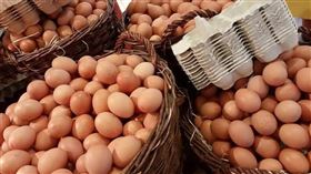 水煮蛋,蛋白,蛋殼,內行,雞蛋