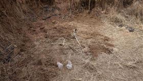 河北邯鄲市3初中生涉殺同學後埋屍（翻攝自新京報）