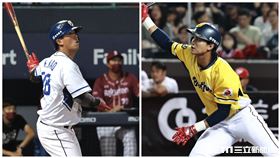 ▲富邦悍將高國麟、中信兄弟岳政華。（資料圖／記者劉彥池攝影）