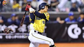 ▲中信兄弟岳政華。（圖／中信兄弟提供）