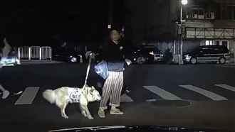 牽狗過馬路　點菸霸佔斑馬線　警：打110