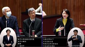 立委王鴻薇質詢央行總裁楊金龍(圖/翻攝自立院議事直播)