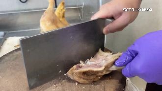 切肉、外場人員難請！鴨肉店紛掛布條徵人