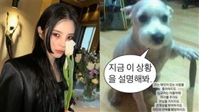 ▲韓韶禧，강쇠。（圖／翻攝自IG）