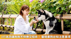 名家專用（勿用）