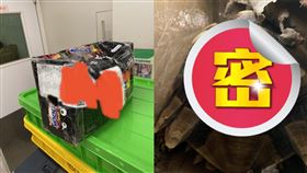 包裹傳怪聲…大夜班店員驚見「活體保育類烏龜」！喪天良畫面曝光。（圖／翻攝自PTT）