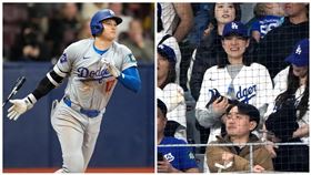 ▲大谷翔平打回轉戰道奇首分打點，太太看台超興奮。（圖／美聯社／達志影像）