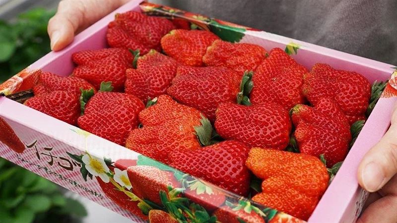 春季食趣　鮮嫩欲滴視覺系草莓甜點大集合