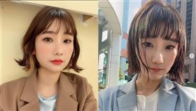 愛莉莎莎,柯文哲,做票,中選會,妨害名譽,澳洲,律師巴毛,通緝,上銬
