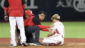 ▲味全龍林孝程撲壘失敗，鼻子正面撞上防守員。（圖／味全龍提供）