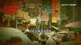 楊姓槍手來自的「大樹林幫」，其實是桃園當地相當有歷史性的角頭組織，主要活動範圍在後火車站一帶，過去靠經營賭場、私娼起家，被當地警方列為桃園市區的「四大幫派」之一。不過知情人士透露，過去他們雖然惡名昭彰，但隨著創幫老大楊柏峰在1980年代遭前十大槍擊要犯劉煥榮狙殺，後續幫內要角也都陸續身亡，現在年輕一輩的幫眾，陸續被其他幫派吸收，導致大樹林幫的勢力已逐漸沒落。