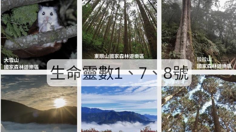 12歲以下好康！兒童節國家森林遊樂區免費