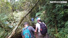 新北市，烏來，紅河谷，滑落，邊坡