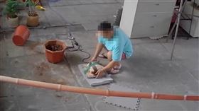 水泥輪擾鄰1200

鄰居,噪音,牆壁,地板,頂樓,水泥輪,馬達,電鑽