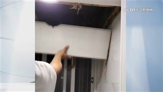 獨／畢生積蓄買到白蟻窩　屋主控賣家隱瞞