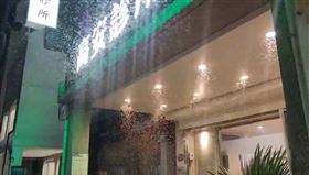 高雄,大水蟻,天氣,下雨,濕氣