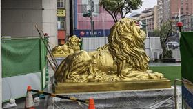 文化中心銅獅變金獅挨批  基市：成品呈黑銅透金基隆市文化中心前廣場一對銅獅雕塑近日被市民發現從原本黑銅色被漆成金色，遭網友批評醜又俗氣。市府表示，金色為基底保護層，最終會呈現黑銅透金色風貌。中央社記者王朝鈺攝  113年3月26日