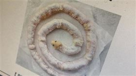 必勝客傳愚人節開賣「芝心蛇圈圈」。鏡周刊