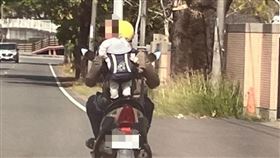 幼童,後揹,騎機車,違規