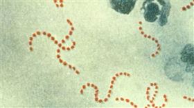 台灣也有「食人菌」！6歲童跌倒染上險截肢　醫示警：其實很常見