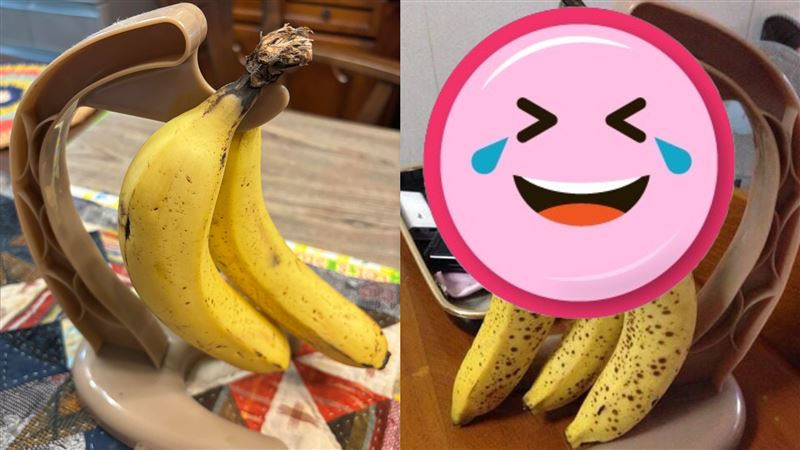 想騙香蕉還在樹上買香蕉架…竟集體自殺了