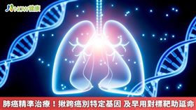 名家專用（勿用）