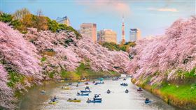 易遊網日韓賞櫻季，首爾，東京，福岡，易遊網提供