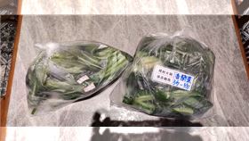 衛生局查扣高麗菜、豆芽菜、粿條、鴻喜菇、香蘭葉及醬油等全數食材。