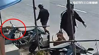 獨／寵物犬遭比特犬狂咬「肚破腸流」亡