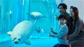 2024春游Xpark一童趣探險　4/1-5/31期間限定　輕鬆化身海洋調查官（業配勿用）