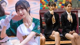 台鋼雄鷹,中職,啦啦隊,Wing Stars,一粒,趙宜莉,黑嘉嘉,葉保弟,學霸,多益,史瓦帝尼,輔仁大學