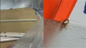 原PO打開餐點經建蟑螂逃竄。（圖／翻攝自臉書）