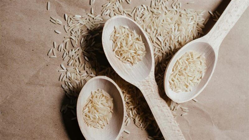 米酵菌酸「無解毒劑」 1天內多重器官衰竭