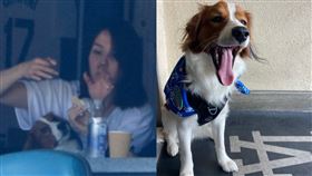 田中真美子現身球場，道奇為大谷翔平愛犬Decoy製作「初登板」紀念狀。（圖／翻攝自Ｘ、IG@shoheiohtani）