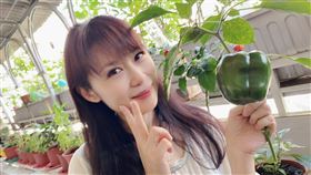 周子寒把自家陽台變開心農場。（圖／藝起發光提供）