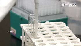 修標)彰基米酵菌1200