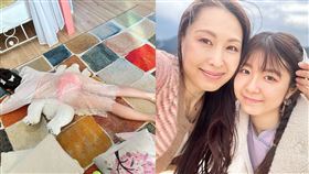 佐田茉莉子罕見公開女兒長相。（圖／翻攝自X）