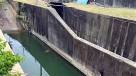 嘉市女子曾在蘭潭溢流道報案救人  卻在同處溺斃嘉義市53歲楊姓女子2023年曾在蘭潭溢流道聽見女子呼救報案救人，但楊女29日卻在同處為搶救愛犬落入集水區溺水，送醫急救後仍宣告不治。（民眾提供）中央社記者黃國芳提供  113年3月29日