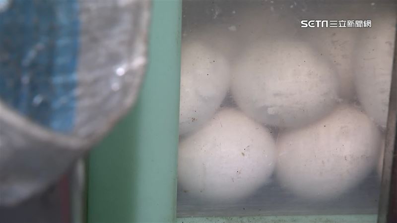 寶林饒河店雞蛋擺室外！醫：沙門氏菌風險
