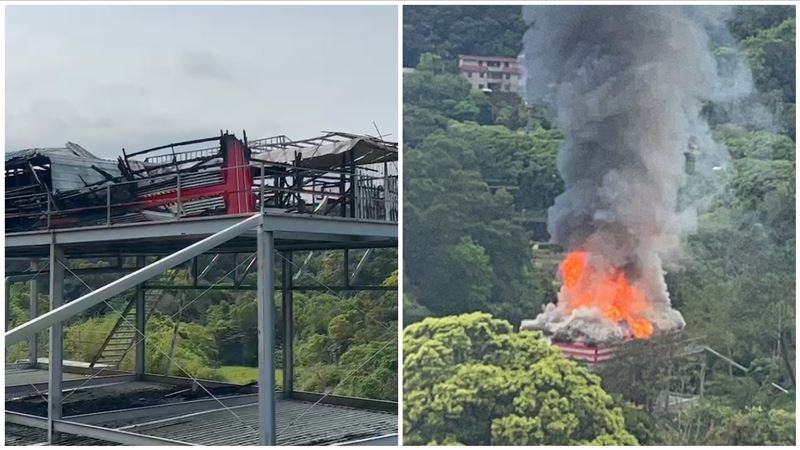 鴿舍雷擊起火燒死38隻賽鴿　驚人財損曝光