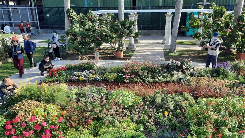 台北玫瑰展閃亮登場「秘藏英式花園造景」